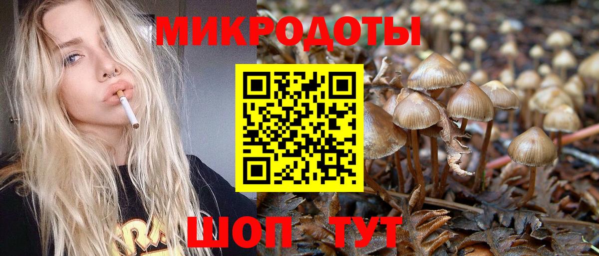 Галлюциногенные грибы Psilocybine cubensis  Вход с VPN  Славянск-на-Кубани  Псилоцибиновые грибы ЛСД 